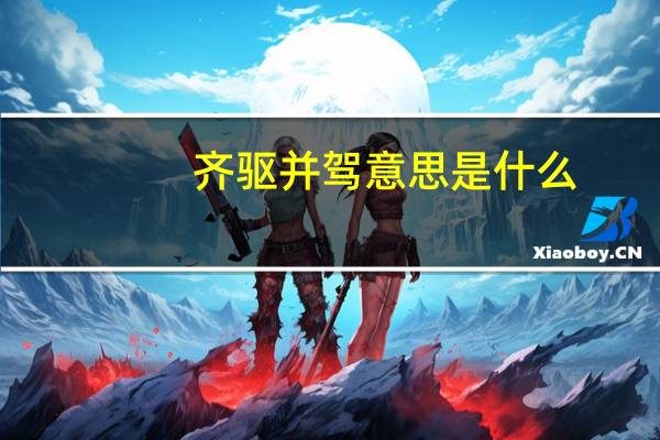 齐驱并驾意思是什么