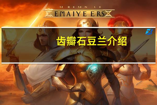 齿瓣石豆兰介绍