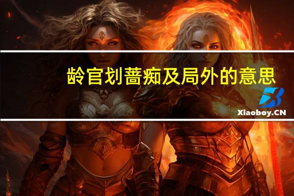 龄官划蔷痴及局外的意思