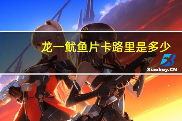 龙一 鱿鱼片卡路里是多少