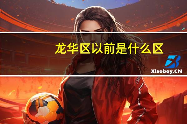 龙华区以前是什么区