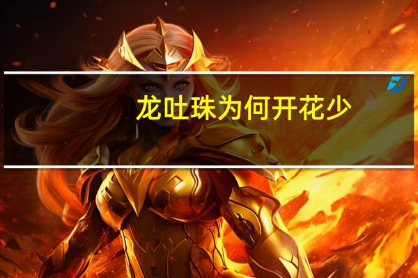 龙吐珠为何开花少