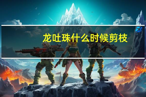 龙吐珠什么时候剪枝