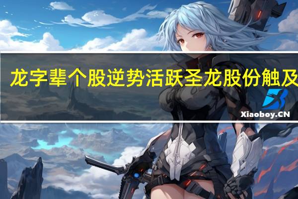 龙字辈个股逆势活跃圣龙股份触及涨停
