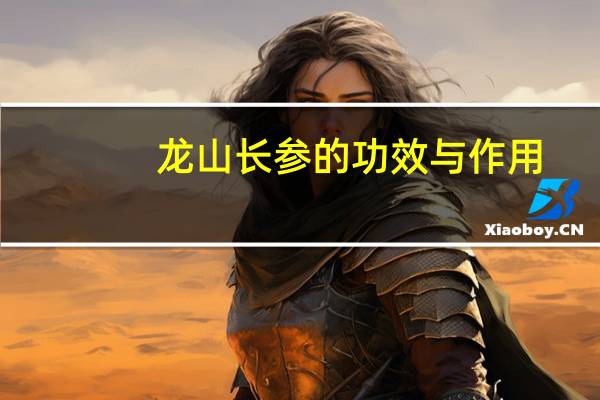 龙山长参的功效与作用