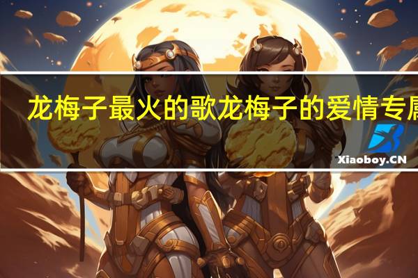 龙梅子最火的歌 龙梅子的爱情专属权