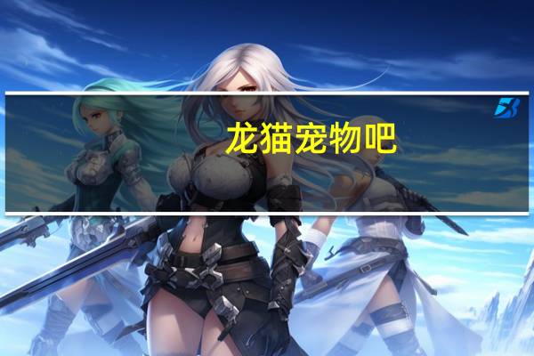 龙猫宠物吧