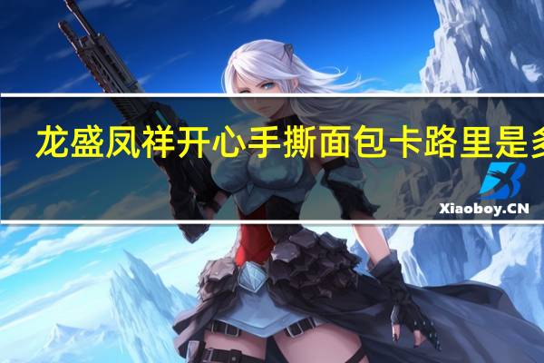 龙盛凤祥 开心手撕面包卡路里是多少