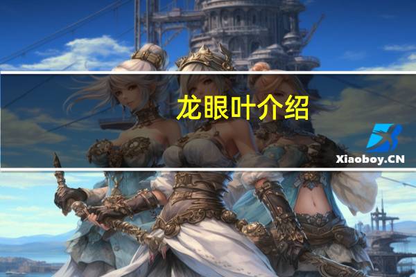 龙眼叶介绍