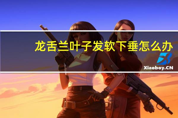 龙舌兰叶子发软下垂怎么办