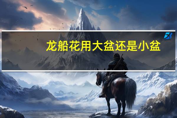 龙船花用大盆还是小盆