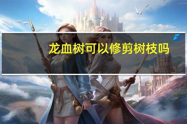 龙血树可以修剪树枝吗（龙血树的修剪方法）