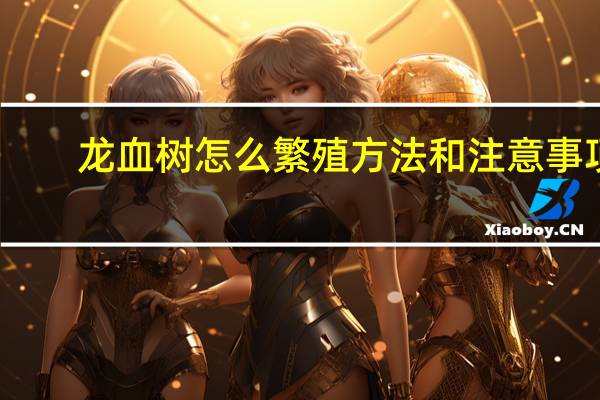 龙血树怎么繁殖方法和注意事项