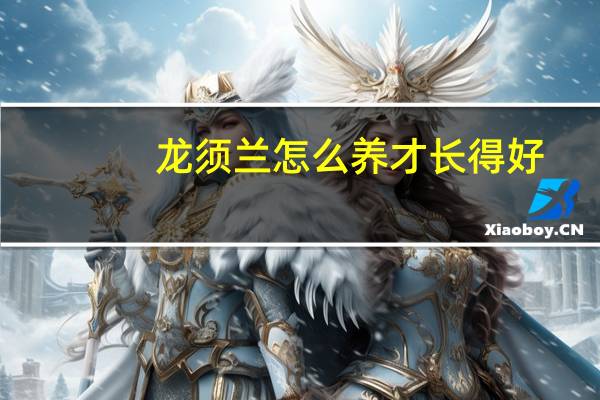 龙须兰怎么养才长得好