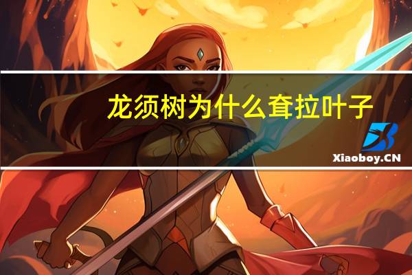 龙须树为什么耷拉叶子