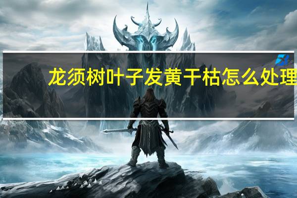 龙须树叶子发黄干枯怎么处理