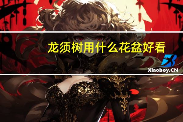 龙须树用什么花盆好看