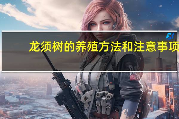 龙须树的养殖方法和注意事项