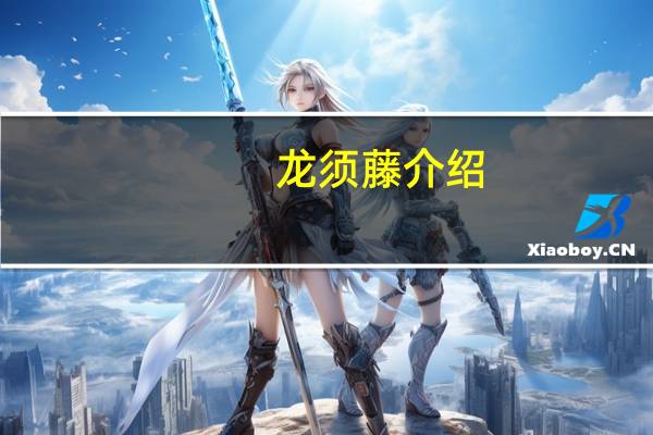 龙须藤介绍