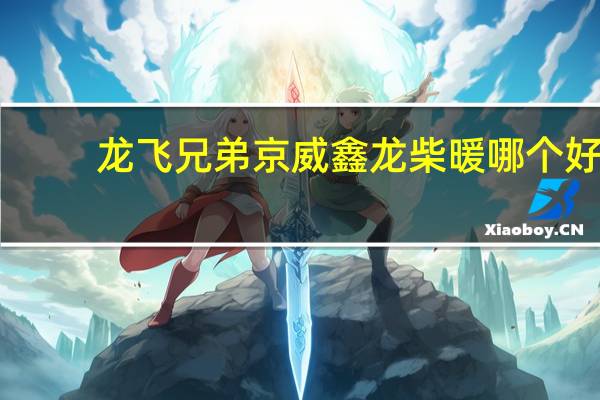 龙飞兄弟京威鑫龙柴暖哪个好