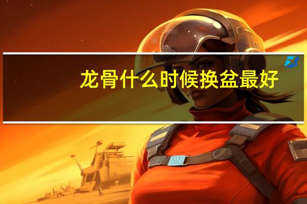 龙骨什么时候换盆最好