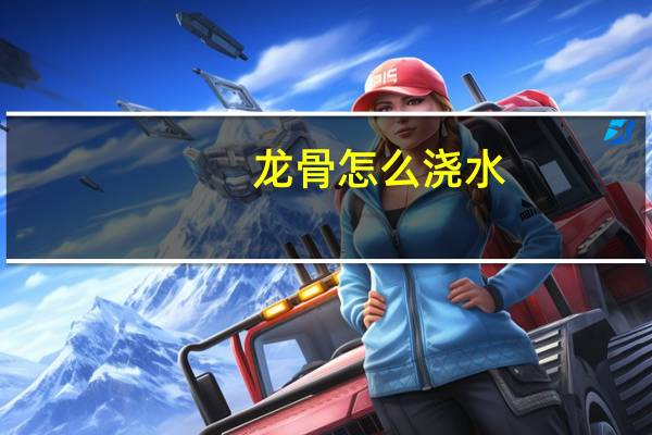 龙骨怎么浇水