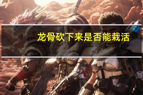 龙骨砍下来是否能栽活