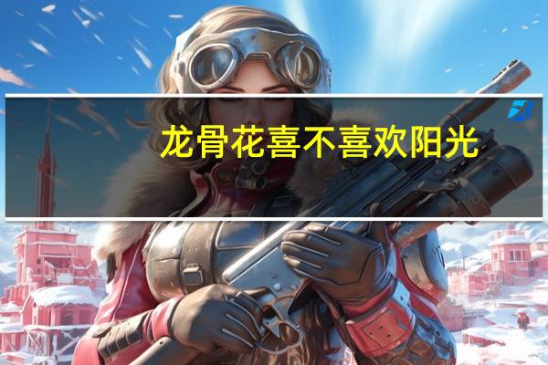 龙骨花喜不喜欢阳光