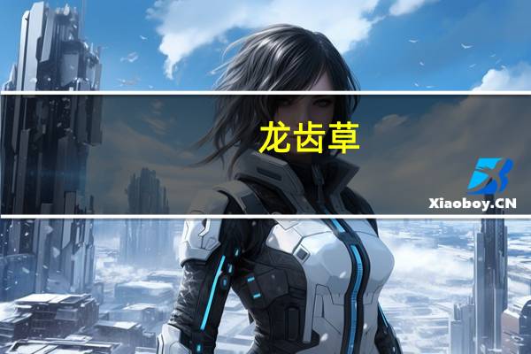 龙齿草（关于龙齿草的介绍）