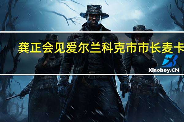 龚正会见爱尔兰科克市市长麦卡锡