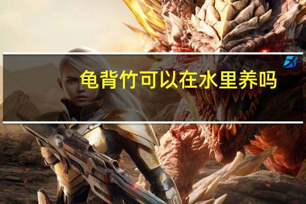 龟背竹可以在水里养吗