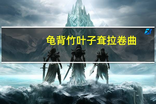 龟背竹叶子耷拉卷曲