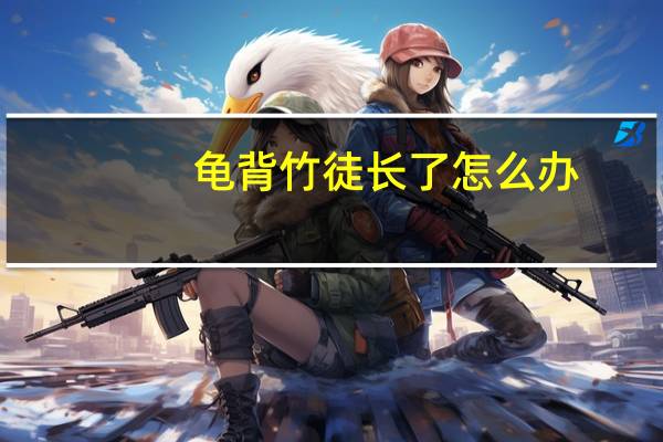龟背竹徒长了怎么办