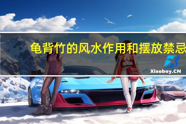 龟背竹的风水作用和摆放禁忌（龟背竹的风水作用）