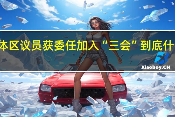 ﻿全体区议员获委任加入“三会” 到底什么情况嘞