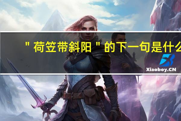 ＂荷笠带斜阳＂的下一句是什么