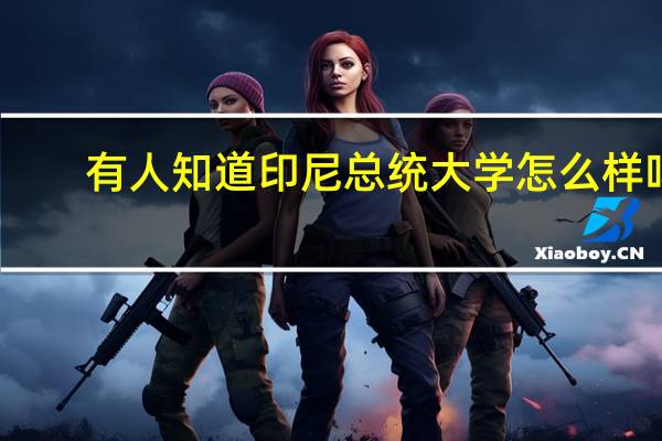 ,有人知道印尼总统大学怎么样吗