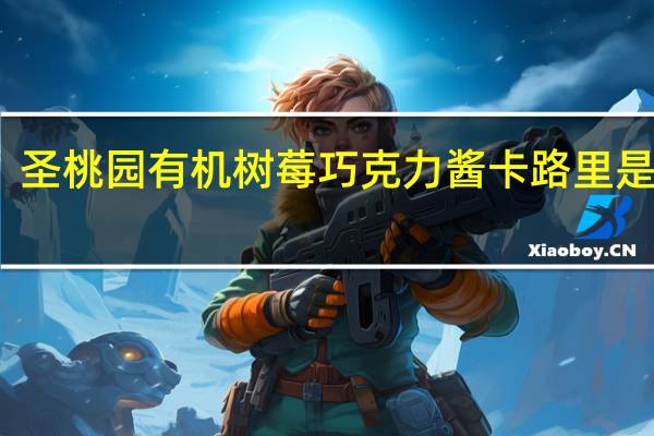 -圣桃园 有机树莓巧克力酱卡路里是多少