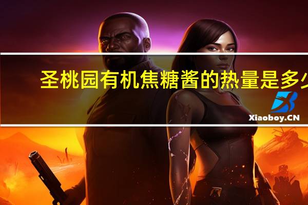 -圣桃园 有机焦糖酱的热量是多少