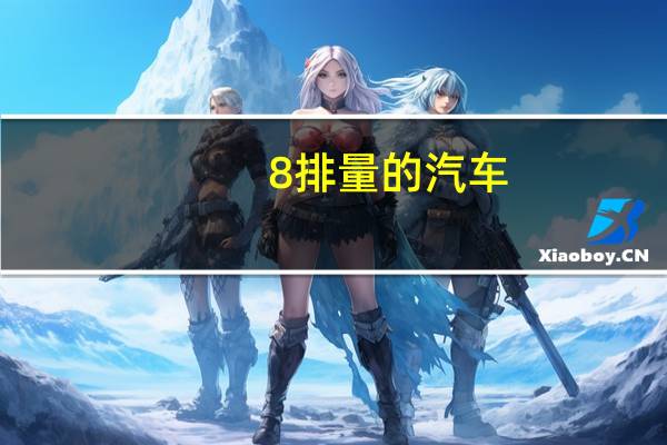 0。8排量的汽车