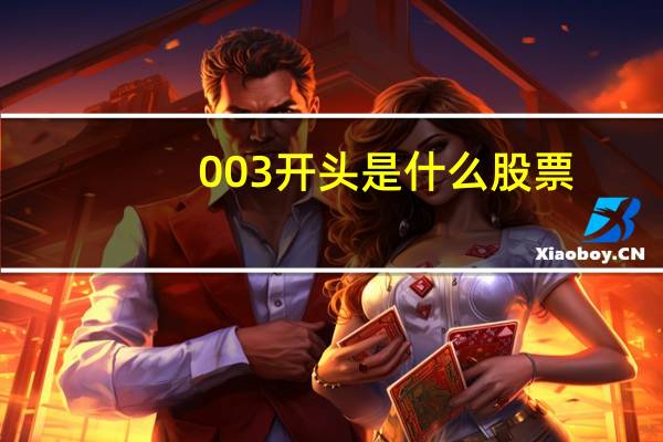 003开头是什么股票