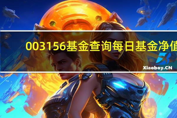 003156基金查询每日基金净值（0031）