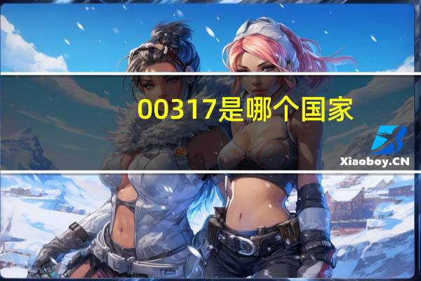 00317是哪个国家