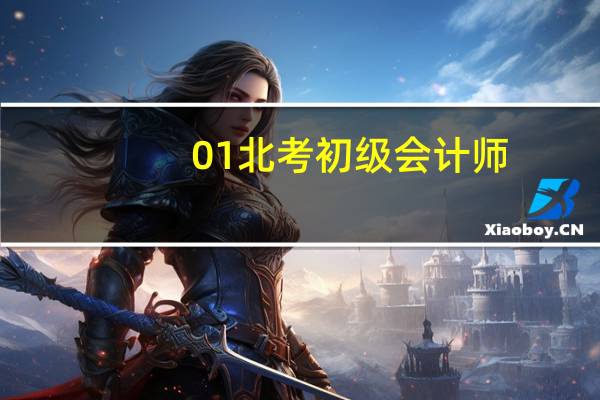 01北考初级会计师