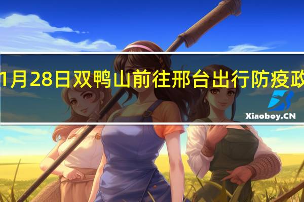 01月28日双鸭山前往邢台出行防疫政策查询-从双鸭山出发到邢台的防疫政策