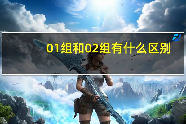 01组和02组有什么区别