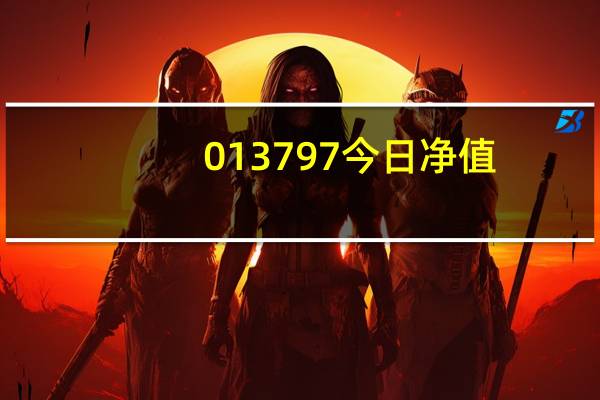 013797今日净值（0137）