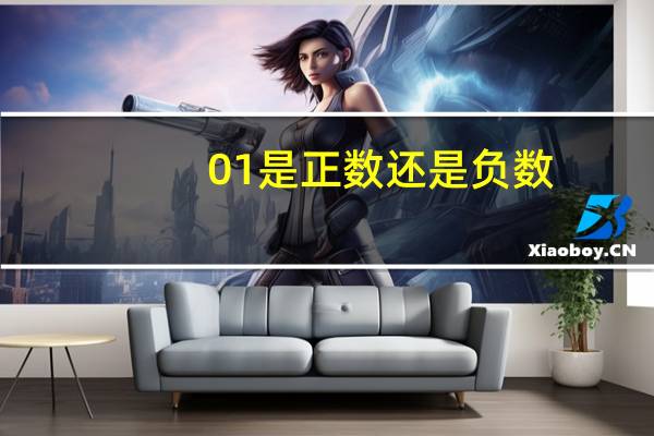 01是正数还是负数