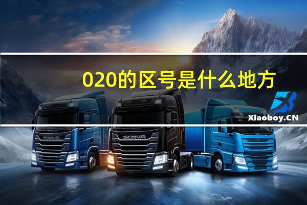 020的区号是什么地方（0206是哪里的区号）
