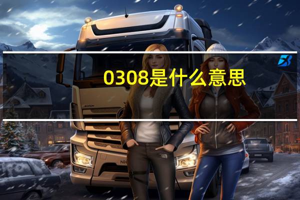 0308是什么意思
